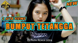 RUMPUT TETANGGA 🌴 LAGU PARTY POPULER 🌴 DJ PAPA REMIX