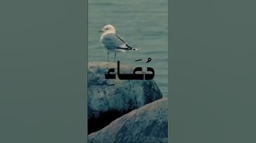 سُبْحَان اللَّهِ ، وَالْحَمْدُ لِلَّهِ ، وَاللَّهُ أَكْبَرُ #اذكار #قران_كريم #دعاء