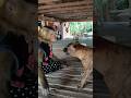 Viral Video SokYaa OG To To And Mom Are Famous Amazing Shorts Viral Video SokYaa OG To To And Mom Are Famous Amazing Shorts