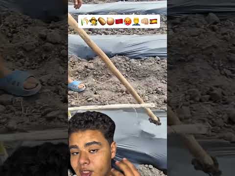 إبتكر آلة فلاحية بسيطة جعلته ثري عمل محركات غربة اسبانيا