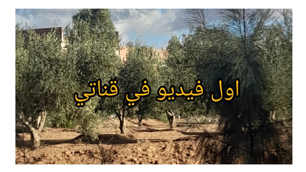 🌺روتين تحفيزي 💯فيديو قبل تغييرات في صالوني بسيييييط🌺🌺