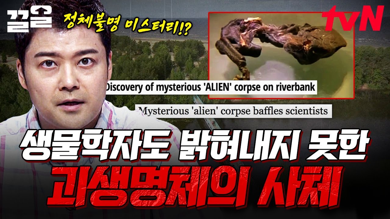 전문가도 알아내지 못한 불가사의 사체의 정체💥 어쩌면 외계에서 온 괴생명체의 증거?! | 프리한19