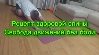 Рецепт здоровой спины - свобода движений без боли #здоровье#спина#зож#здоровыйобразжизни#физкультура