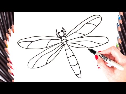 How To Draw A Dragonfly Step By Step | EASY Dragonfly Drawing Tutorial