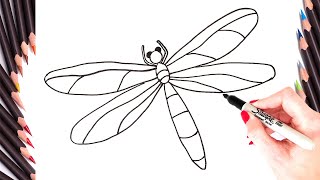 How to draw a dragonfly step by | easy drawing tutorial