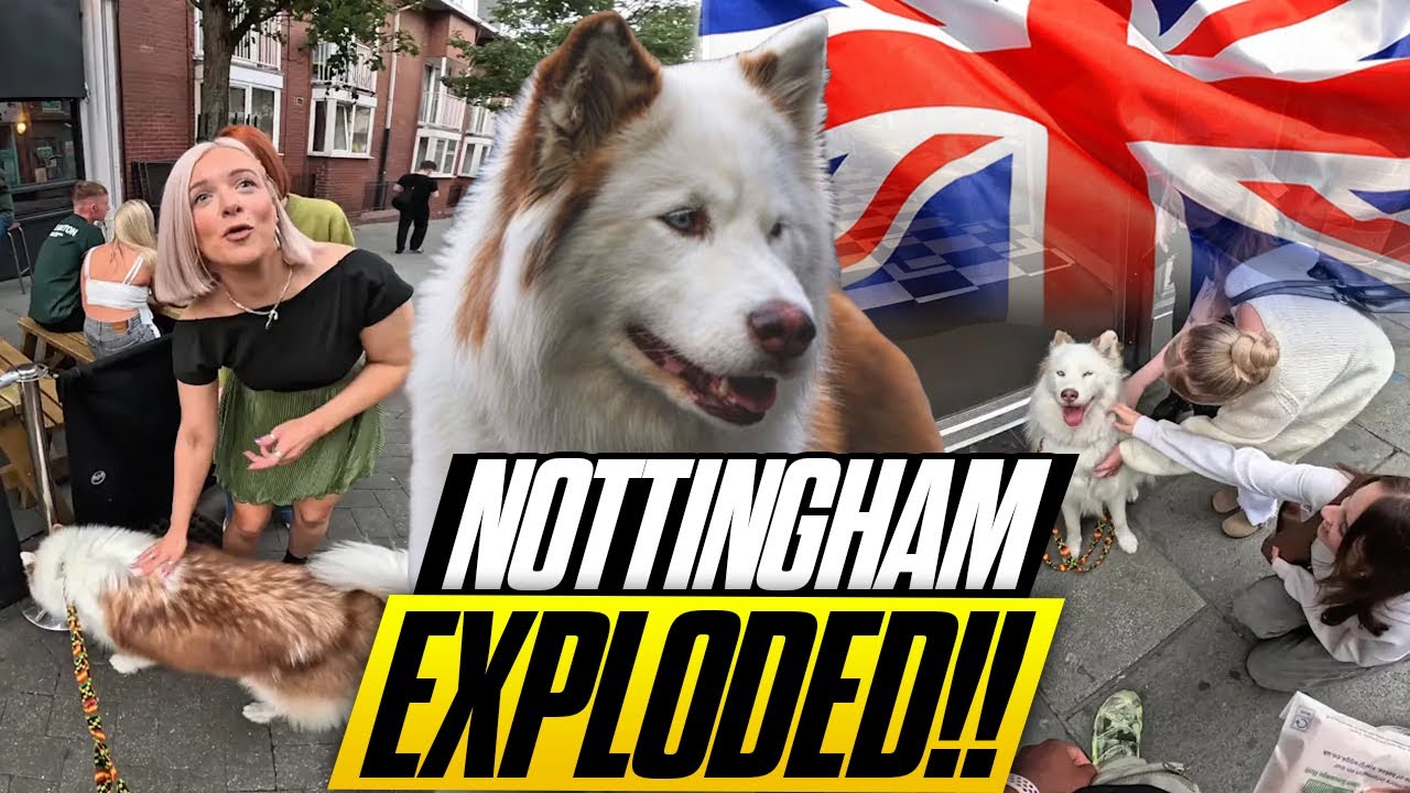 Crowds EXPLODED Over My Husky in Nottingham!! (You Won’t Believe This)🤯🐶