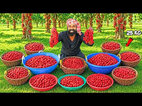 മൂട്ടിപഴം അച്ചാർ ഉണ്ടാക്കിയാലോ | Making Pickle from Mootti Pazham | M4 Tech |