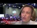 AfD–Partei der kleinen Leute ??