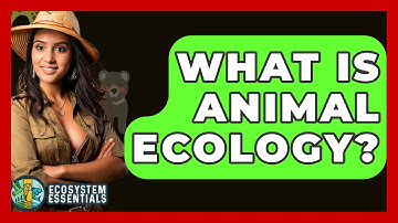 What Is Animal Ecology? - Ecosystem Essentials