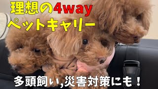 これぞ理想のキャリーバッグ！多頭飼い＆大きめわんちゃん必見！災害対策にも！【最後にお知らせあり】