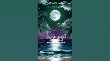 سورة المطففين الآيات 22-26 بصوت الشيخ محمود الشحات