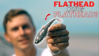 Flathead Fishing With Flathead? The Next Big Flathead Lure.