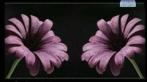 القارئ عبد الإله -سورة التوبة 1-11