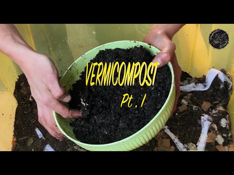 Video: Vermicomposters Per Creare Terreno Fertile