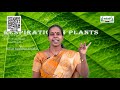 11th Botany தாவரச்செயலியல்  சுவாசித்தல்  பாடம் 14  அலகு 5  பகுதி 3  Kalvi TV