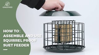 HOW-TO: Assemble and Use Squirrel Proof Suet Feeder #kingsyard