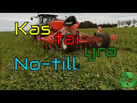 Video: Kas yra simetrija gamtoje?