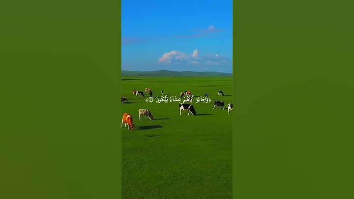 يقال فلان برئ براءة الذئب من دم يوسف