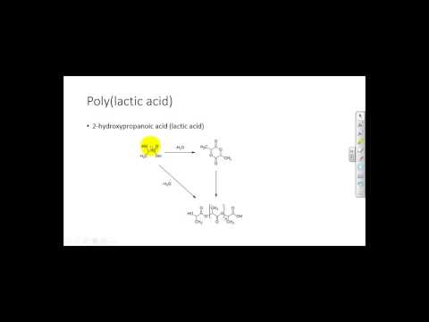 Mr Teckman - Polyesters and polyamides
