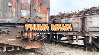 Download lagu NKR & Fezeka Dlamini - Phuma Mama (Visualizer)