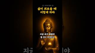 삶이 고통스럽고 괴로울 때 이렇게 하십시오 | 부처님말씀 | 부처님의가르침 | 삶이괴로울때 | 마음치유 | 자비의기도