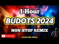 BEST BUDOTS 2024 | 1 HOUR NONSTOP REMIX 💥