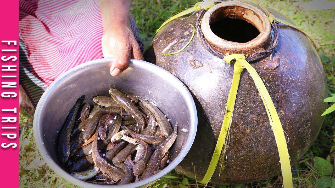Unusual Fishing Fishing Trips/Trapping Huge Village Fish Using Big