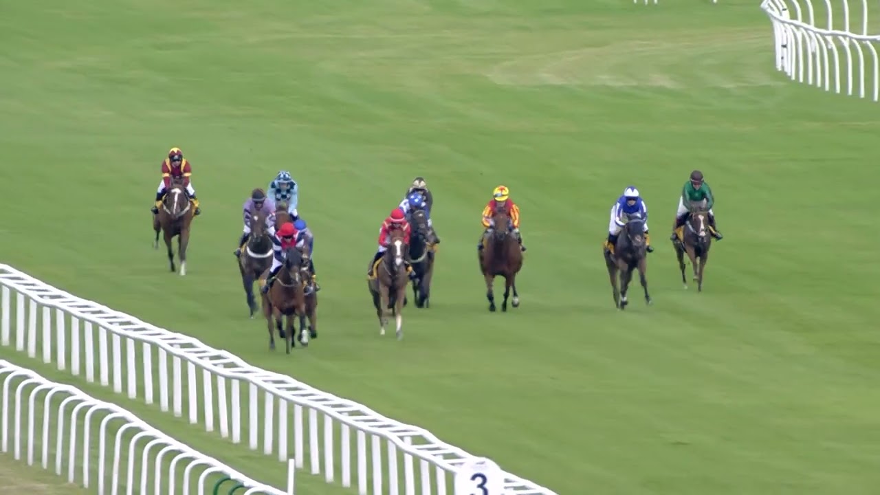 Racing Staff Week 2024 - Newbury Stable Staff Race