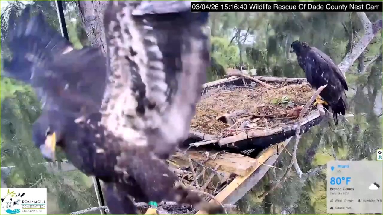 2026.03.04 WRDC　R10 Fludge