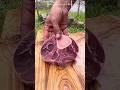 🔥 Steak &amp; Chicken on Fire 😳