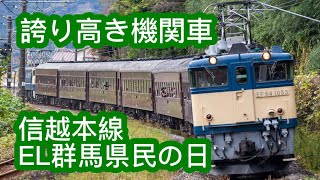 【EF65】誇り高き機関車　EL群馬県県民の日【EF64】