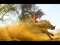 18 Wild Amazing Spear Hunts, World's best Spear Videos