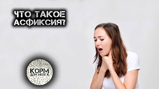 Что такое асфиксия?