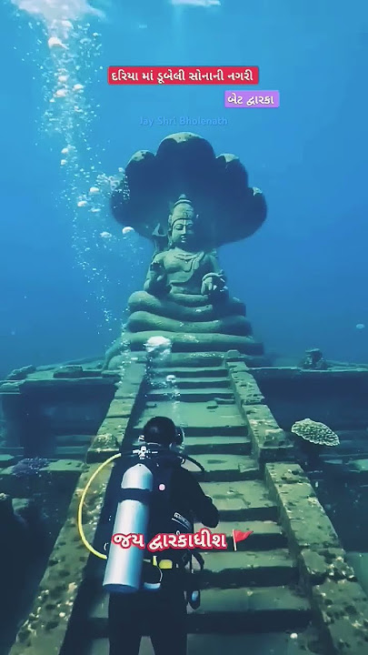 Jay Dwarka Jay Bholenath#hot video#viralreels 😎🏔️