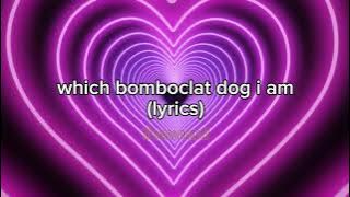 which bomboclat dog i am? (lyrics)