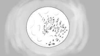 Dearly Beloved Animatic Rough Draft 2