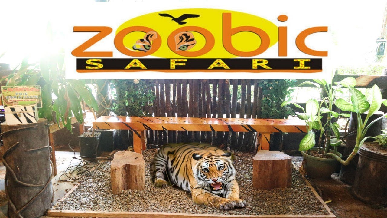 zoobic safari description