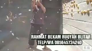 PATRAP GERAK RASA