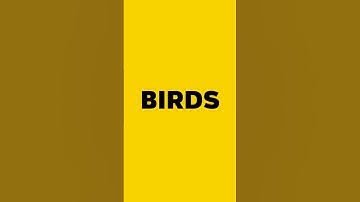 Thumbnail of Birds - Chirping | Sound effect #37
