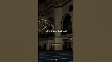 ظَهَرَ الْفَسَادُ فِي الْبَرِّ وَالْبَحْرِ ... سورة الروم | يـاسر الدوسـري