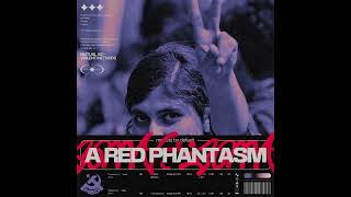 modest by default - A RED PHANTASM (互助 - 对法西斯的暴力)