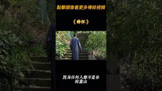 釋懷 #修行 #人生感悟 #禅意生活