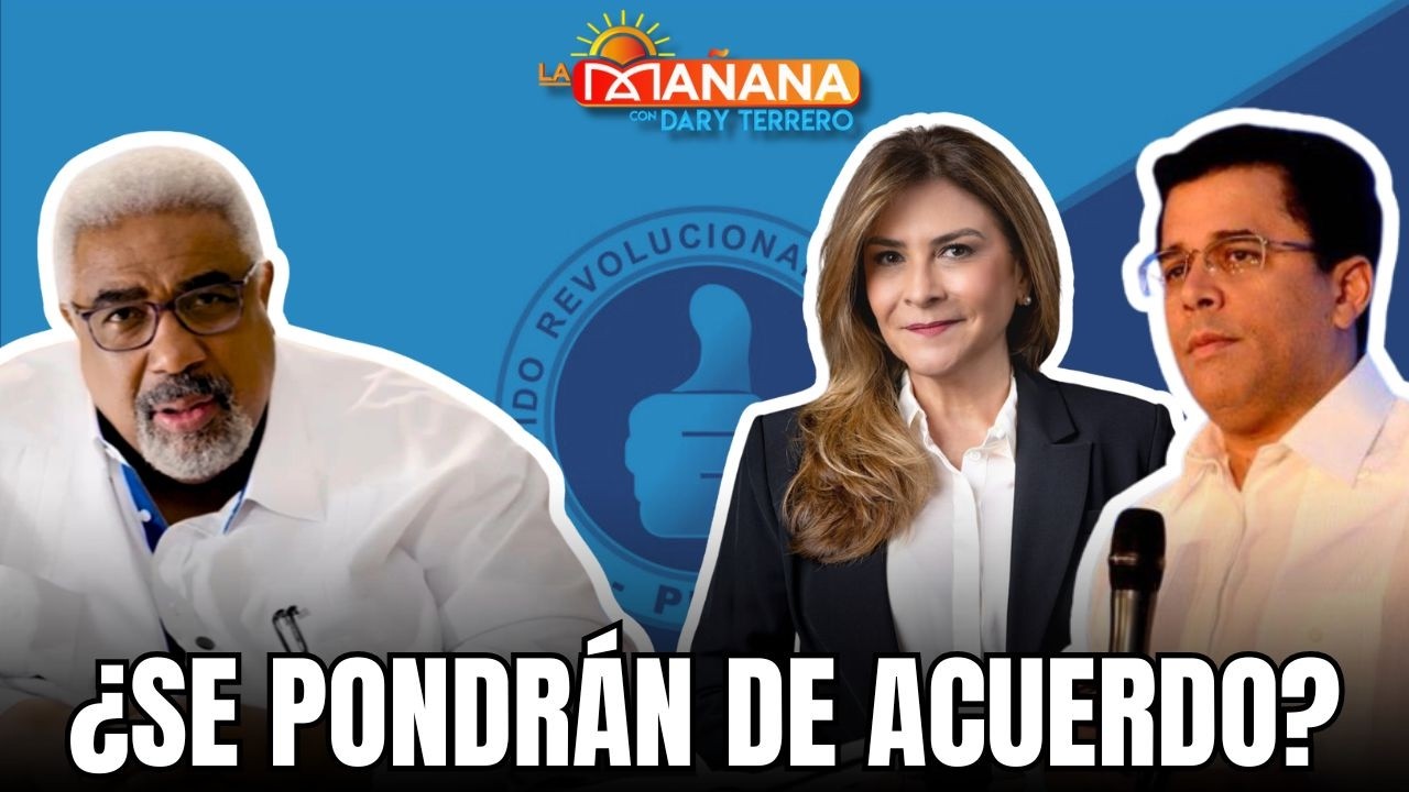 David y Carolina sería la boleta ideal del PRM