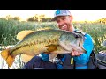 Sight Fishing BIG Bass Up Shallow (Lake Erie Kayak Fishing) | Field Trips with Robert Field