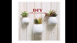 DIY HANGING SUCCULENTS