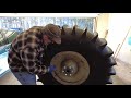 Sherp Repair - Tire Bead Lock