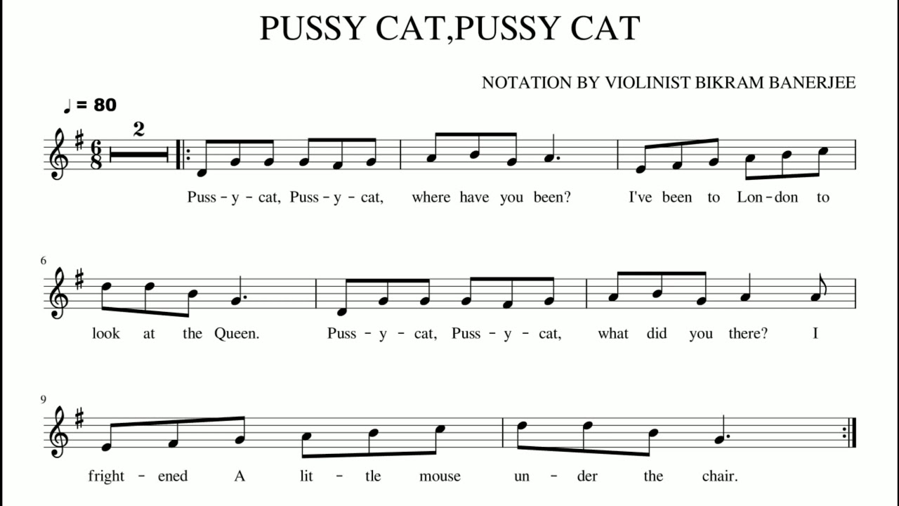 Pussy Pussy Pussy
