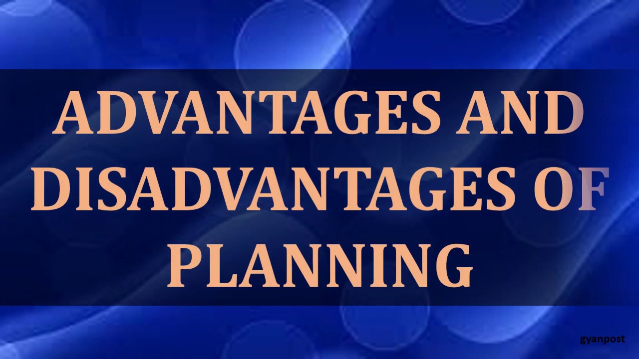 2 disadvantages of business plan