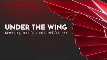 Under the Wing: Managing your External Attack Surface