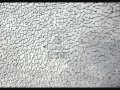 broken glass epic sound effect good quality part 2